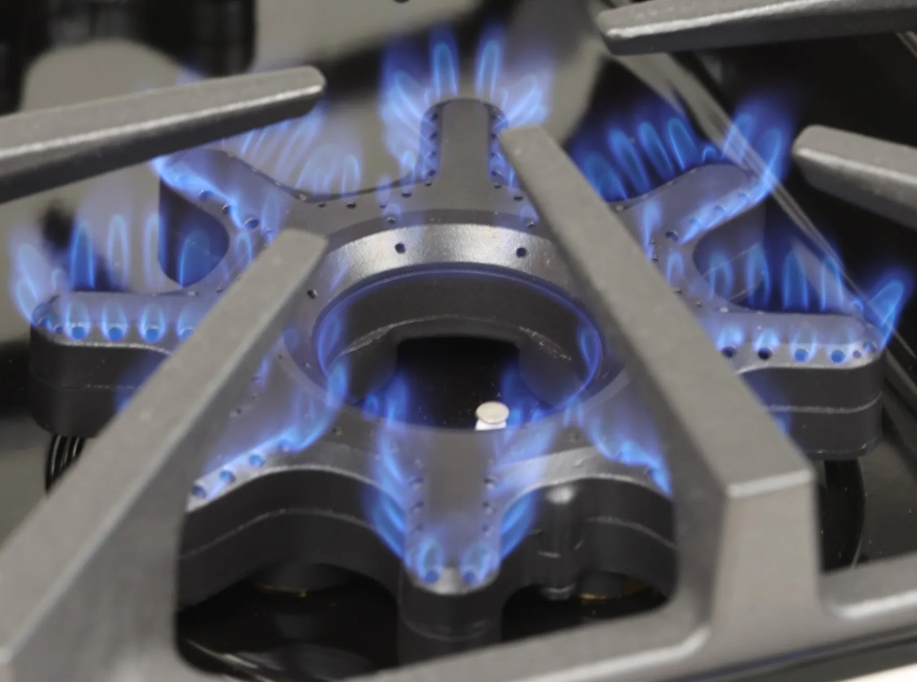 Bluestar - 36 Inch Dual Fuel Range in Stainless (Premium Floor Model) - BSDF366BW